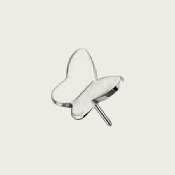 Labret ST117 — vue 1