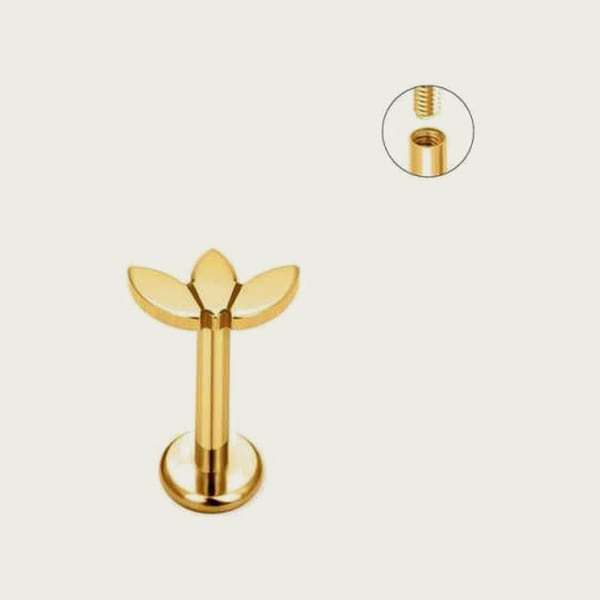 Labret ST223 — vue 1