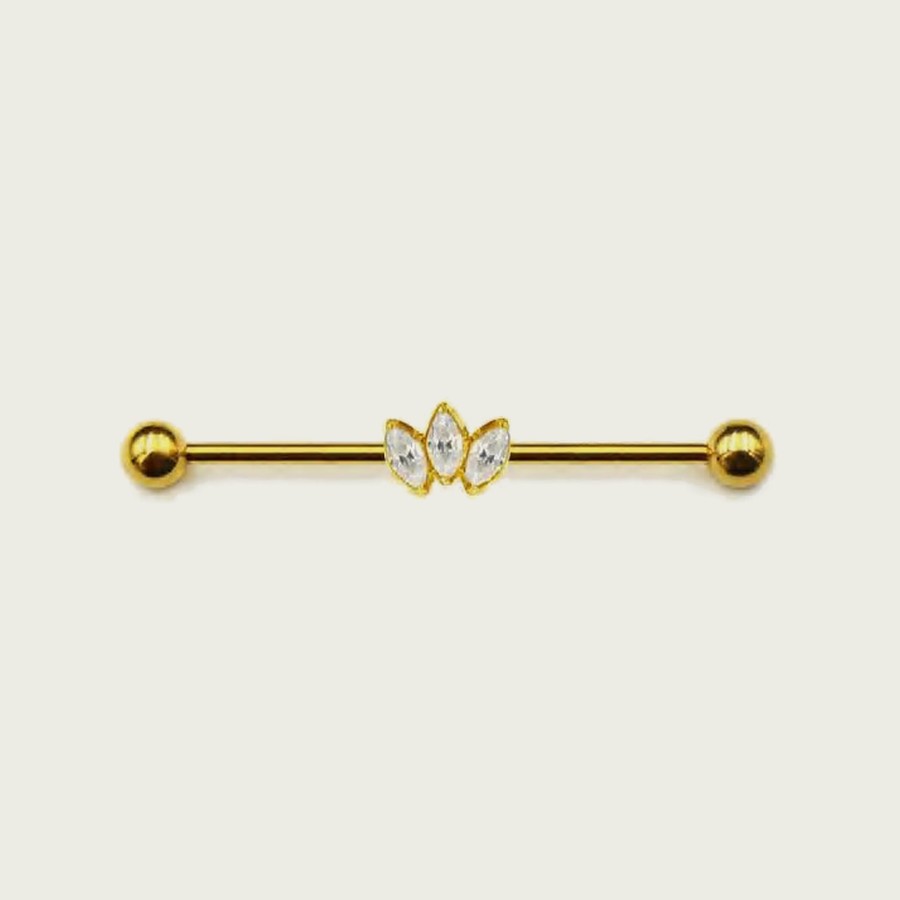 Barbell BB086 — Titane ASTM F-136