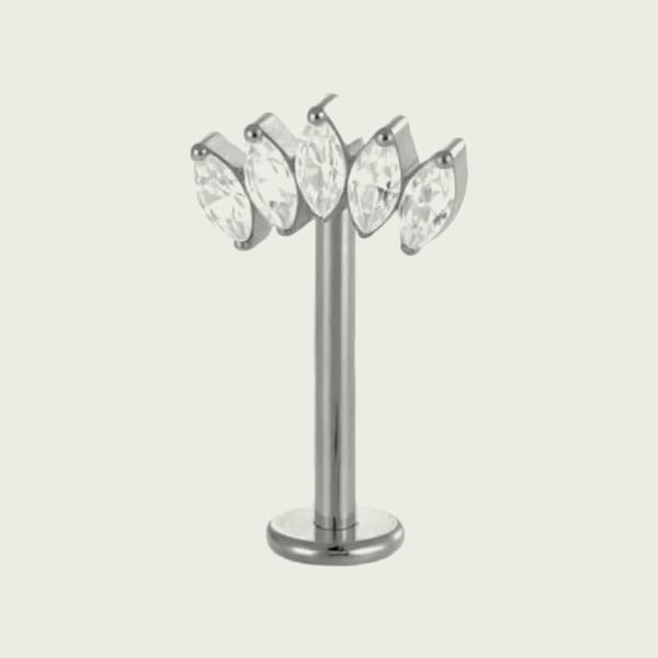 Labret ST551 — vue 1